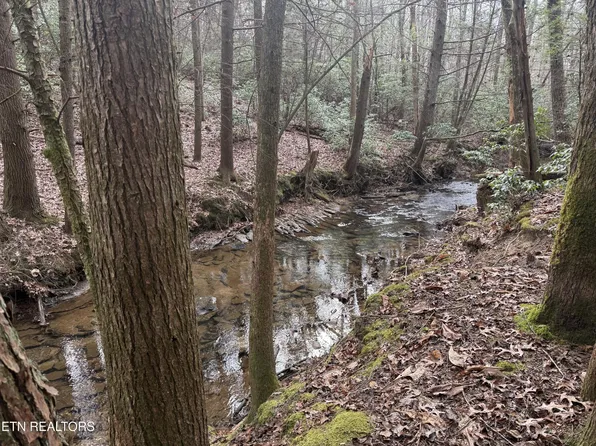 0 Street Place Loop Lot 9, Monterey, TN 38574