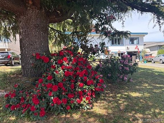 2nd image of 2535 Holyrood Dr