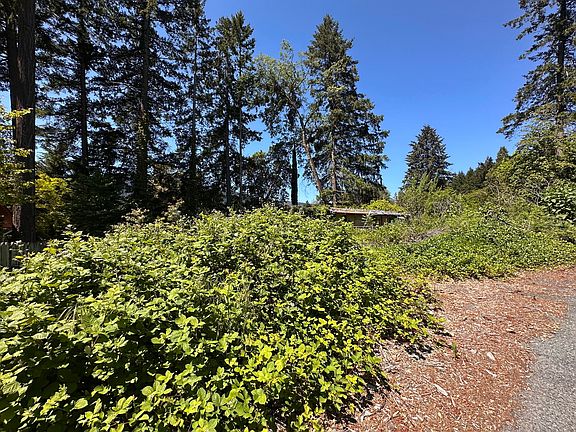 2nd image of 312 Forest View Dr