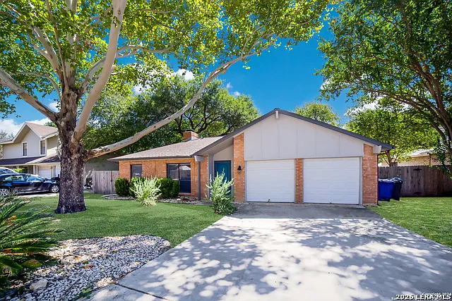 13906 Tangle Tree St