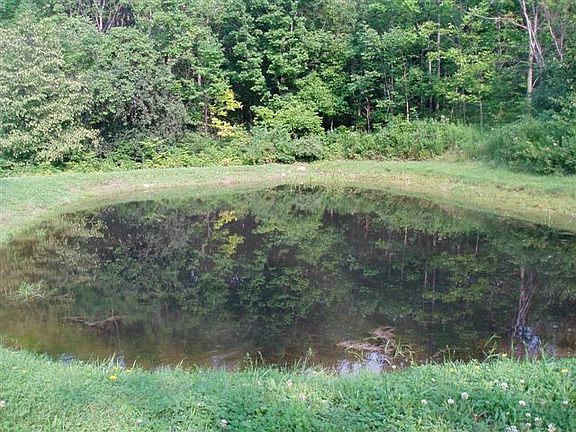 Stocked Pond