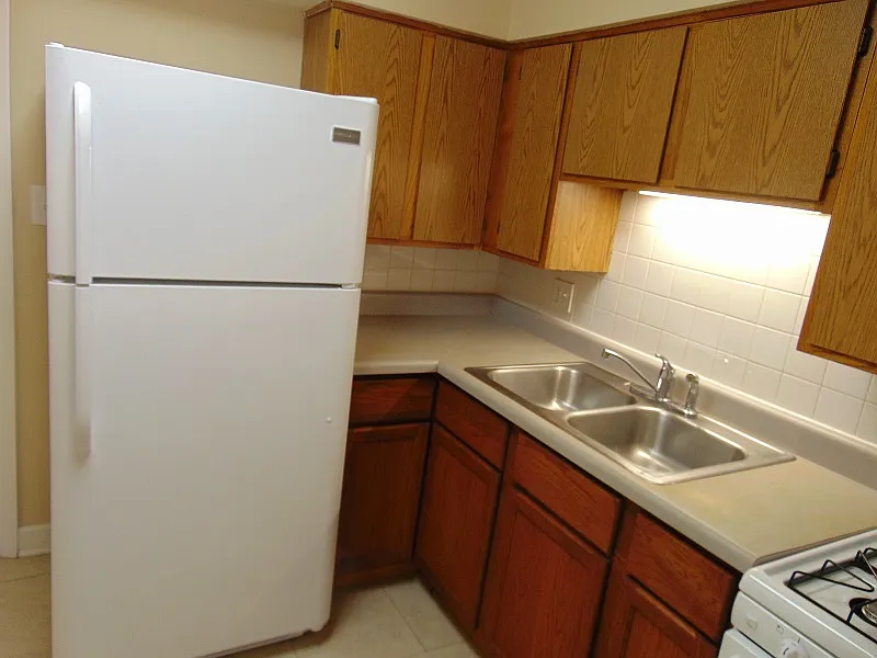 1 bed, 542 sqft, $1,295 — Photo 2