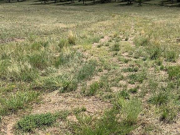3rd image of 92 County Road 310