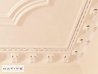 Rented by Native Real Estate LLC