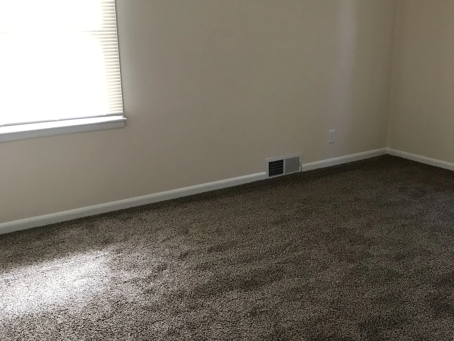 Wilson Street - 1015 — Photo 3