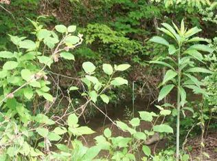 207 Ben Hill Rd, Rogersville, TN 37857