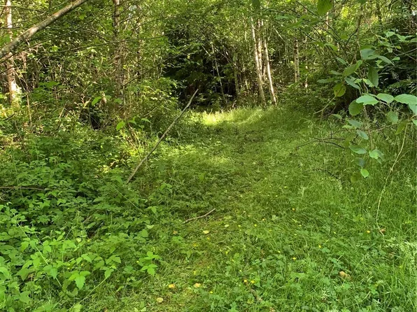 2 Tract Parpala Road, Naselle, WA 98638