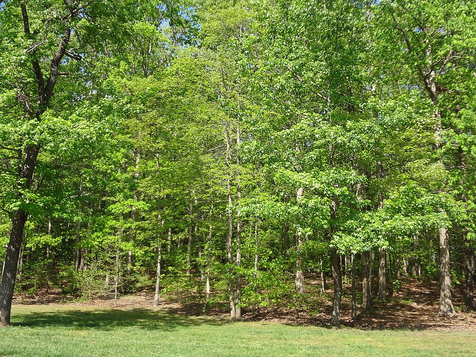1st image of 2119 Turtle Run Dr