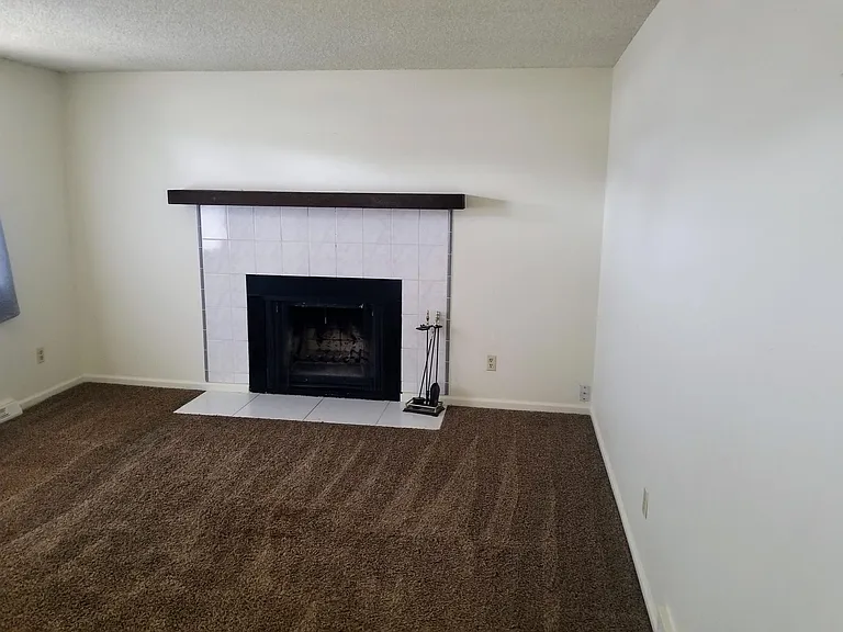 Living room with fireplace.