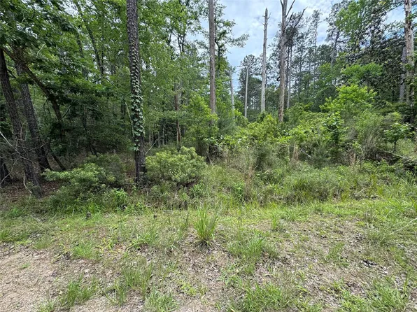 239238 Arborcrest Dr Lot 239-238, Brookeland, TX 75931