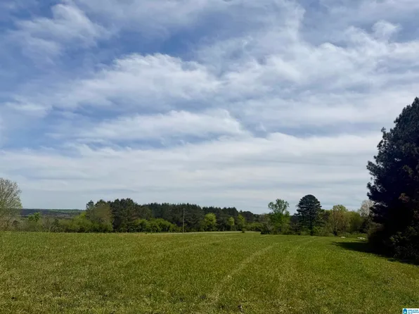 0 County Road 1061 #0, Vinemont, AL 35179