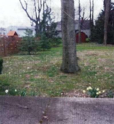 3rd image of 7924 Brookwood Dr NE