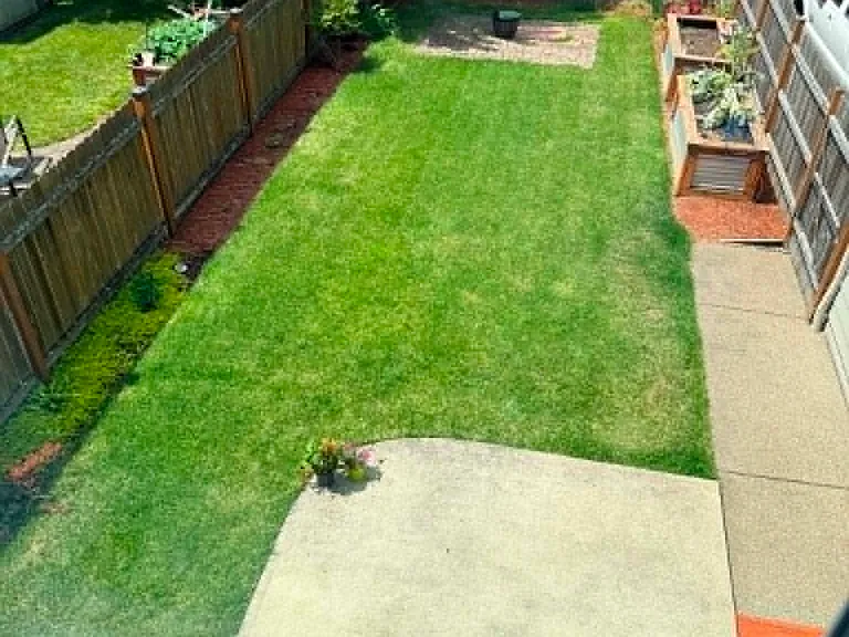 View of back yard from bedroom