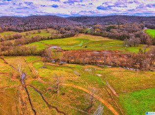 0 Hinds Rd #0, Blountsville, AL 35031