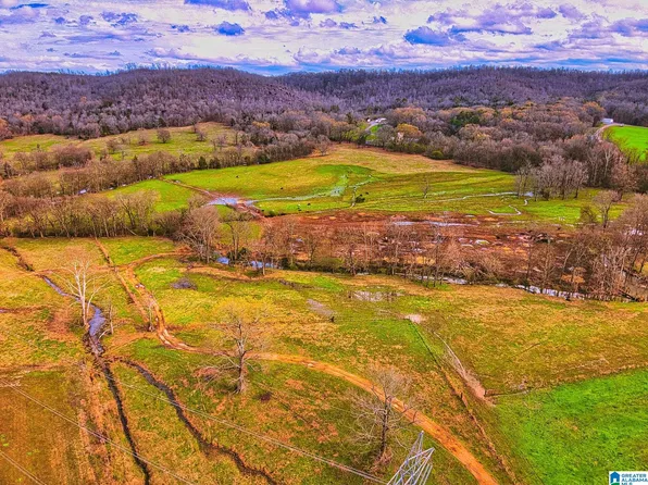 0 Hinds Rd #0, Blountsville, AL 35031