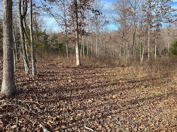 4th image of 2369 County Road 359