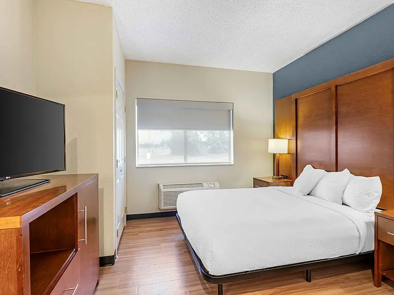 Studio Suite - 1 Queen Bed