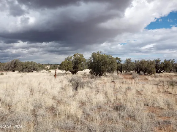 N 9234th, Concho, AZ 85924