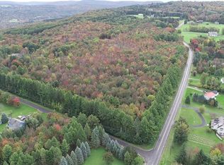 LOT 1 McConnell Rd LOT 1, La Fayette, NY 13084
