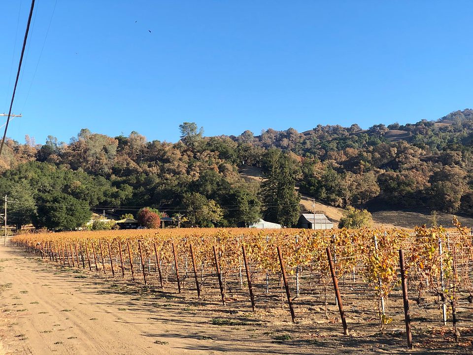 Front view of the home: grapes