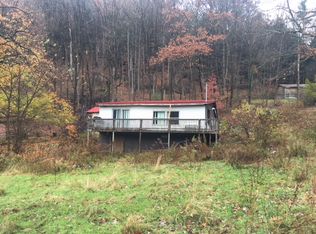 221 Rex Rd, Tionesta, PA 16353