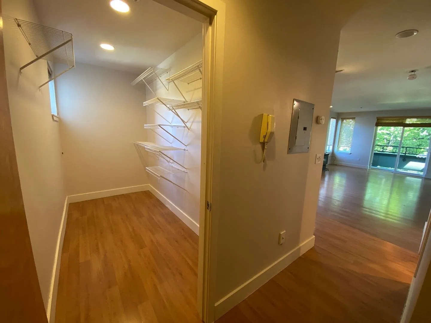 Wallingford Court 4038 — Photo 4