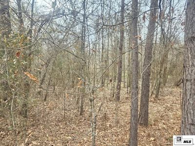 0 Highway 837, Calhoun, LA, 71225