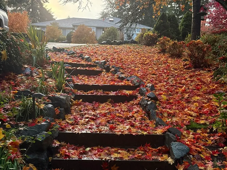 Elk Creek Ln — Photo 10