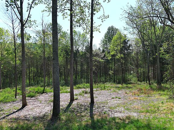 3rd image of 0 Bedford Lake Rd Lot 1-2-3