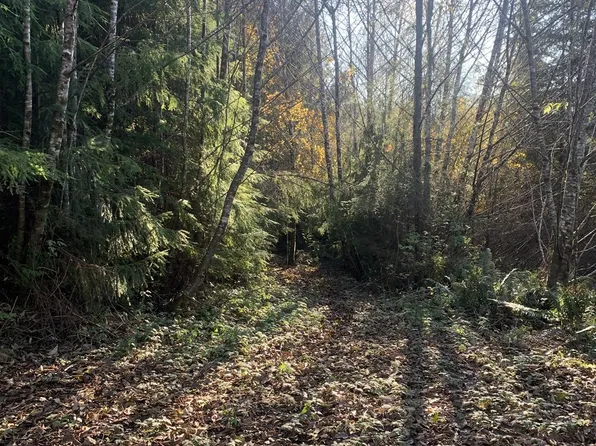 3 Parpala Rd, Naselle, WA 98638