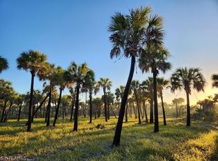 Ivy Way, Naples, FL 34117