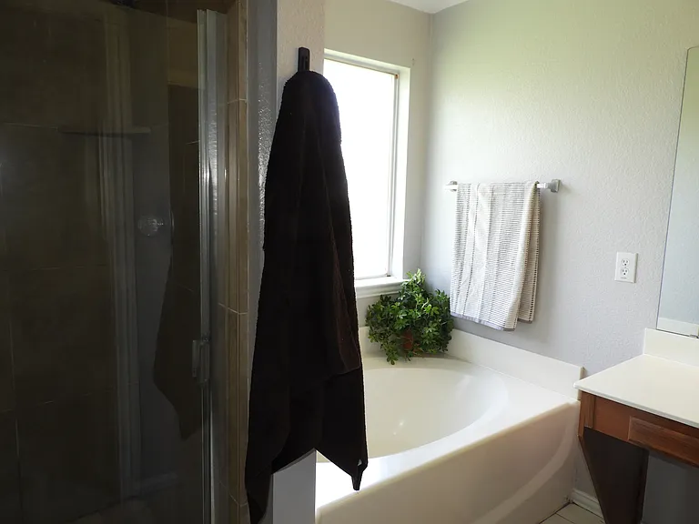 Primary bathroom with standing shower and water closet.