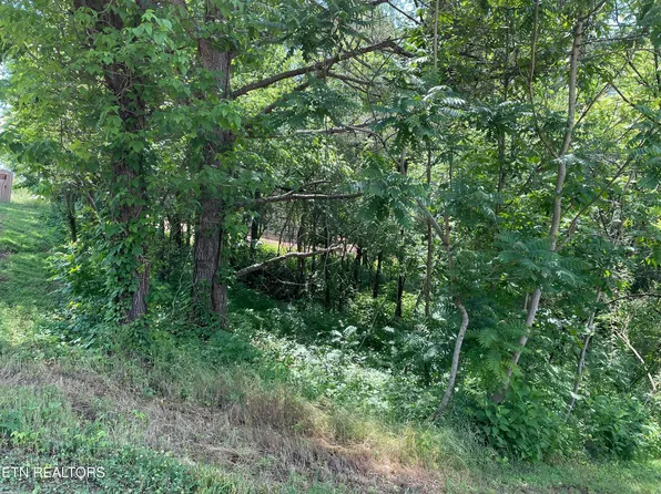 163 Utsesti Trce, Tellico Plns, TN 37774
