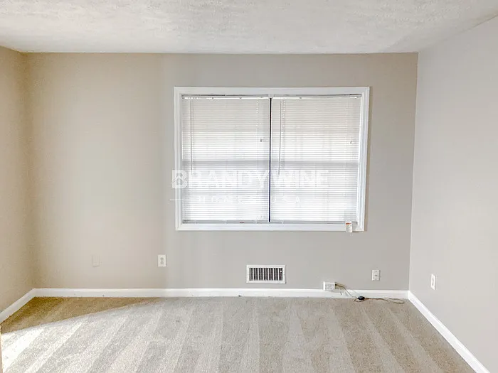 7301 Fern Ct — Photo 10