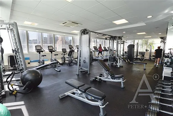 Rented by Peter Ashe | media 91