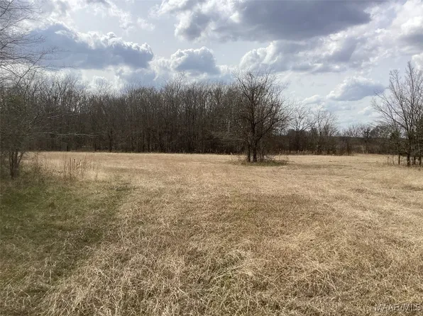 1435 Meriwether Rd, Pike Road, AL 36064