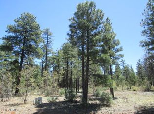 400 S Yarrow Ln, Show Low, AZ 85901