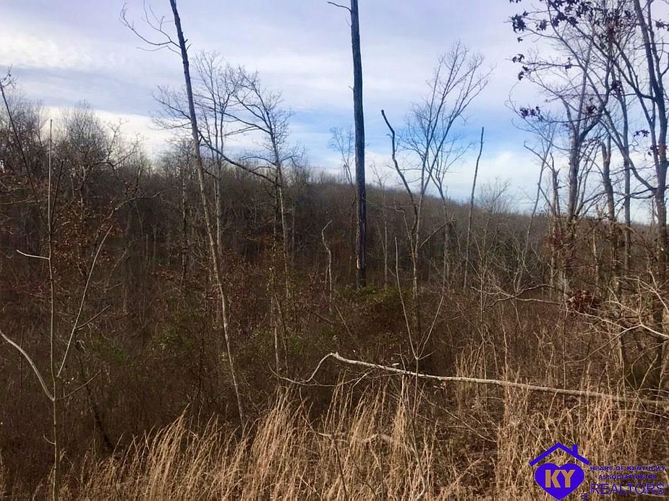 2nd image of 749 Eastview Rd