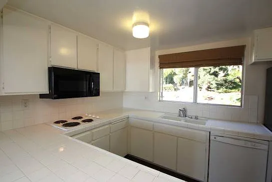 28310 Rey De Copas Ln — Photo 24