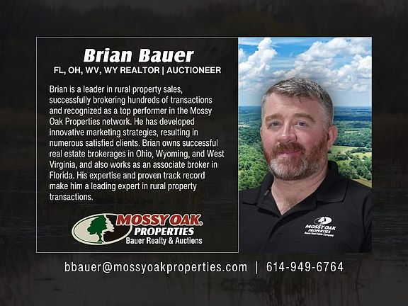 Brian Bauer