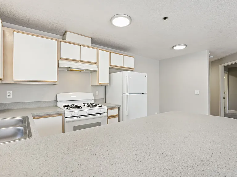 Veri 1319 — Photo 176