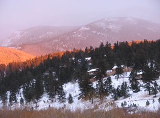 353 Elk Creek Dr, Bailey, CO 80421