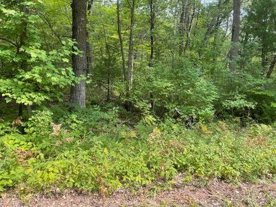 Lake Dr, Shawano, WI, 54166