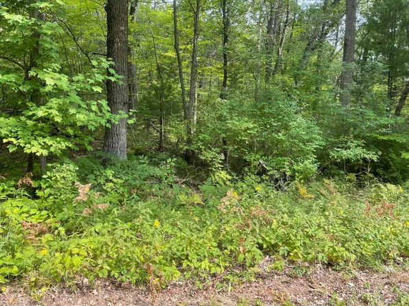Lake Dr, Shawano, WI 54166