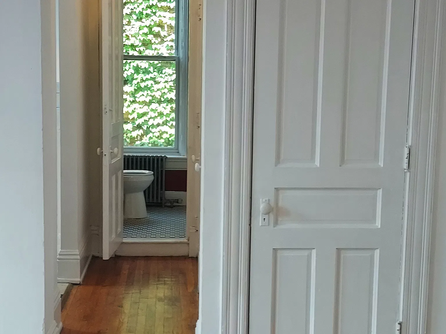 Studio, 850 sqft, $900 — Photo 3
