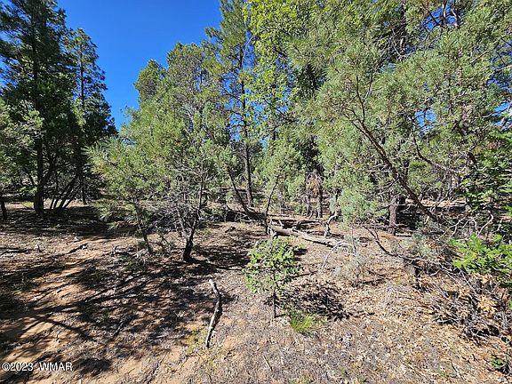 3rd image of 1700 Iris Ln