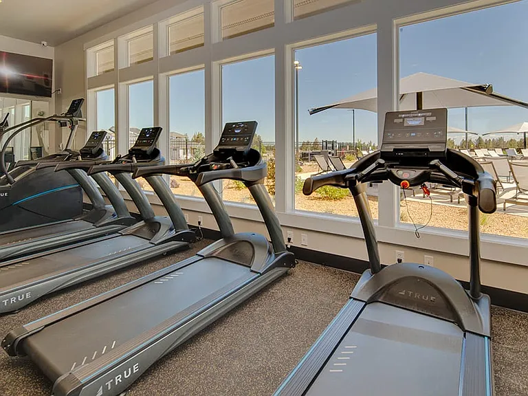 The gym