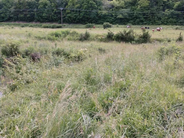 3 Lonesome Pine Trl, Greeneville, TN 37745