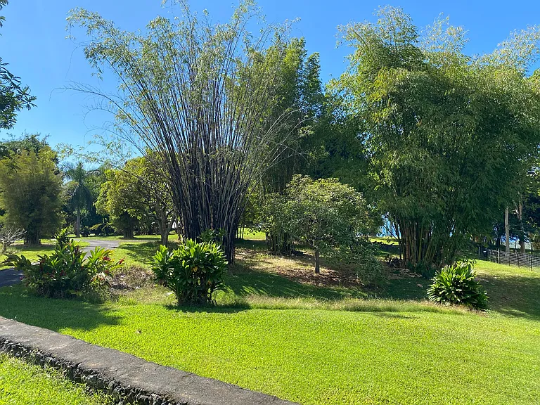 75-5648C Mamalahoa Hwy #C — Photo 8