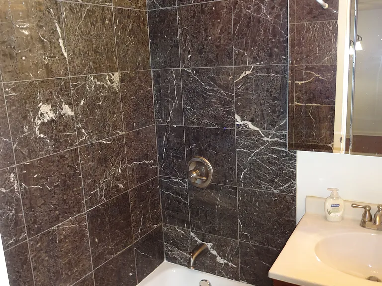 222 E Pearson St #2105 — Photo 9
